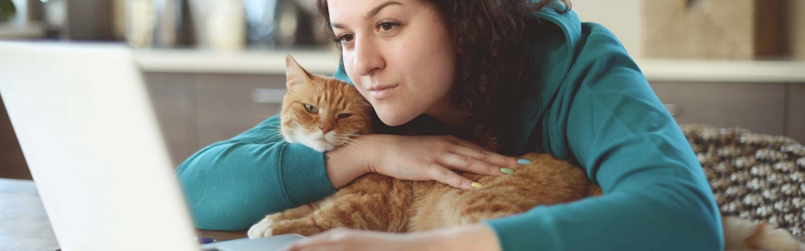 Aquamation Pet Cremations Blackwood South Australia 2