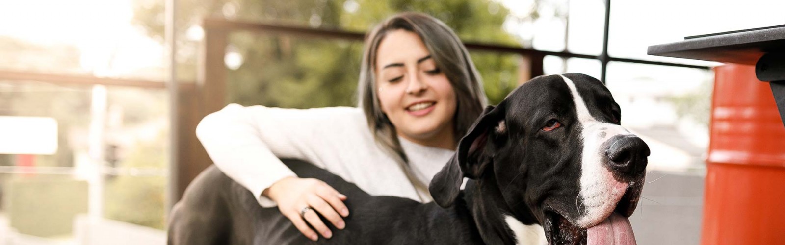 Aquamation Pet Cremations Blackwood South Australia 5